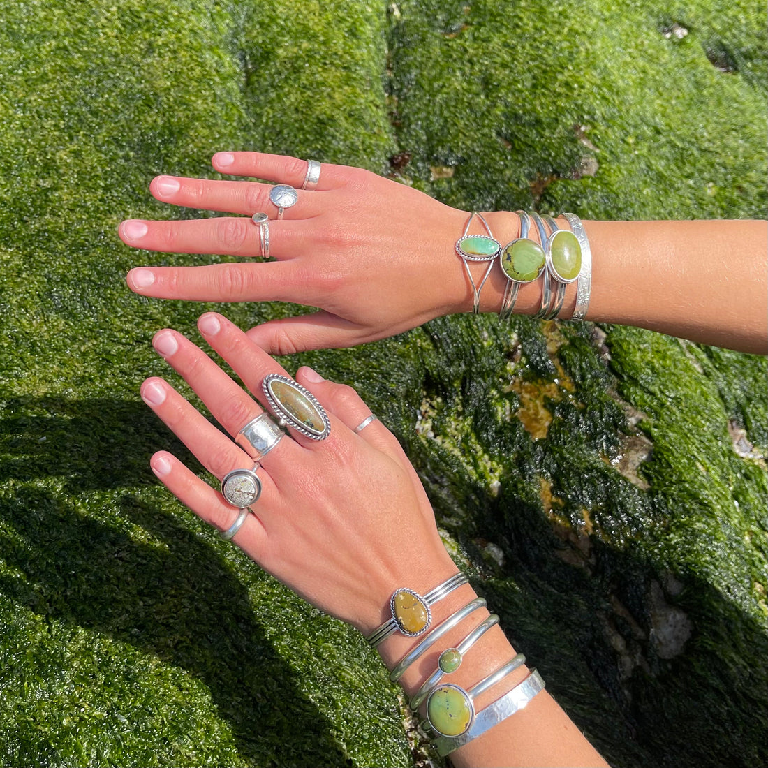 Where the Shore Meets the Pines collection